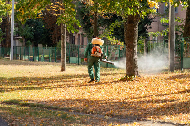 Best Wasp Removal Services  in Pinch, WV