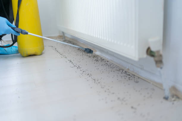 Best Best Pest Control Companies  in Pinch, WV